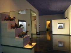 066 Museo Rufino Tamayo - Oaxaca